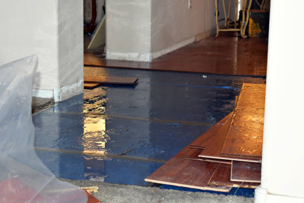 Professional Burst Pipe Water Damage technician working in Angora, MN